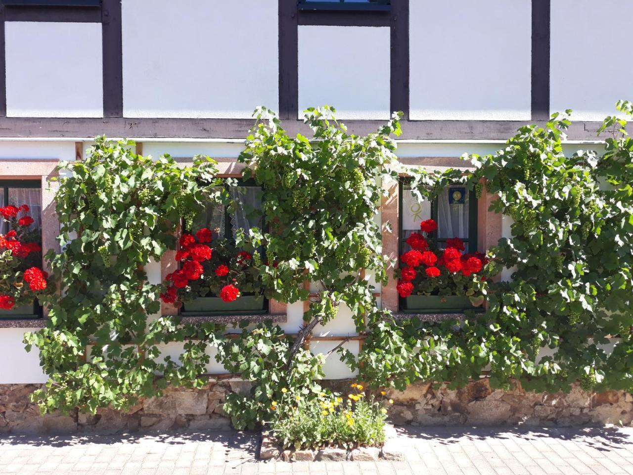 Hotel Balancehaus Kohren-Sahlis, Dein Kurhaus In Sachsen Zewnętrze zdjęcie